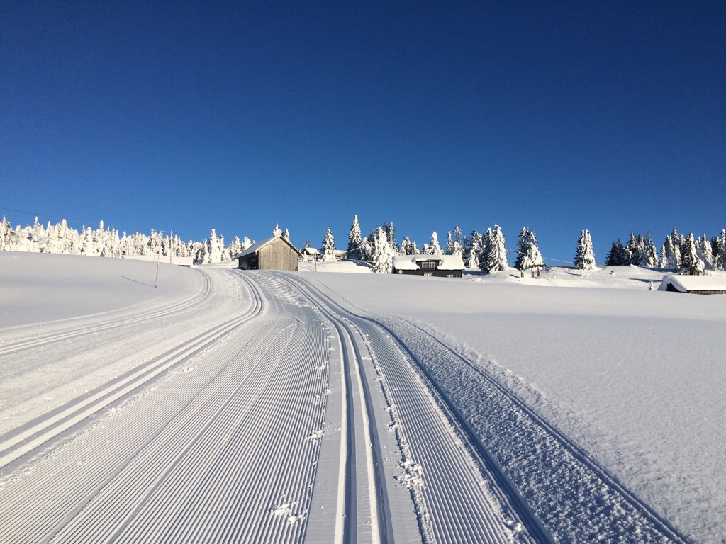 Trikkeskinner i Birkebeinertraséen