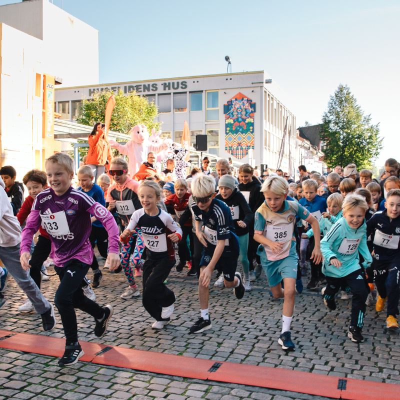 birken cover  nettside 800x800 (9)