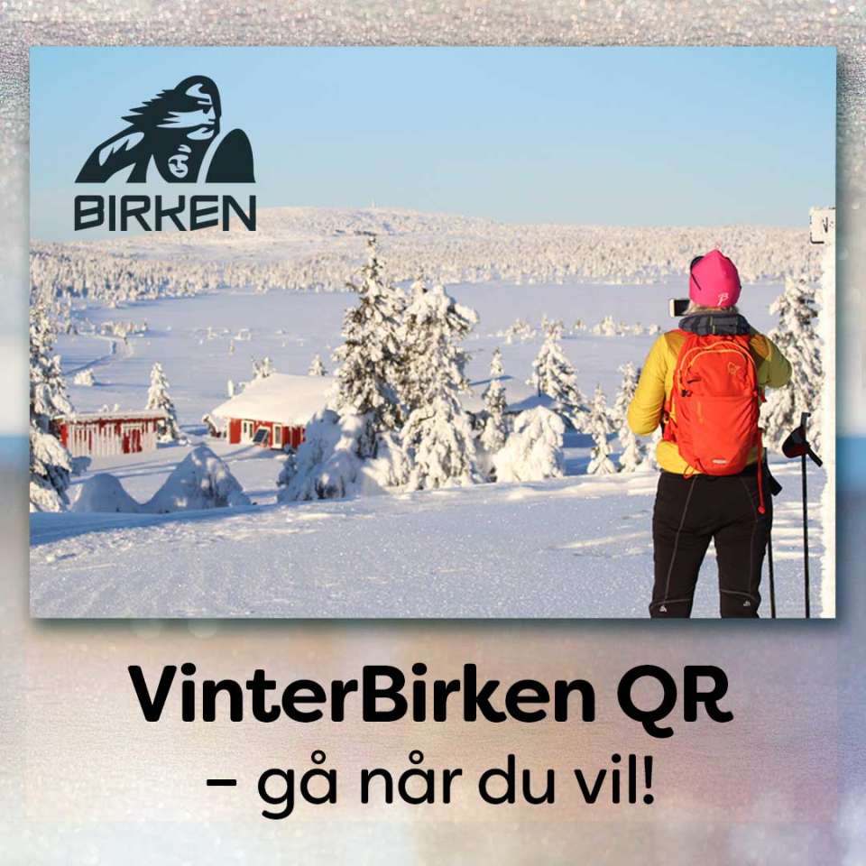 VinterBirken