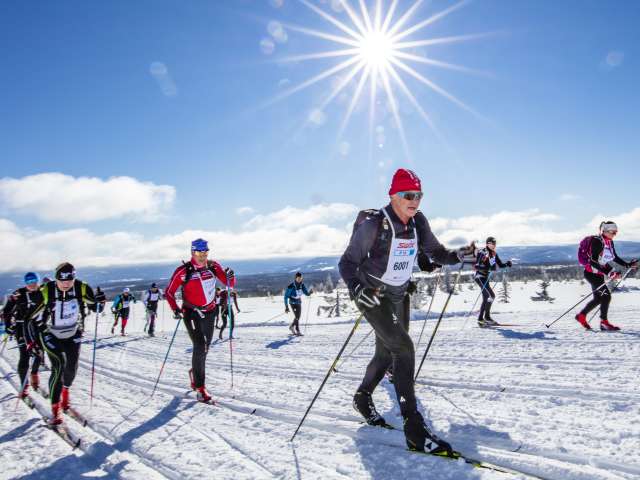 Birkebeinerrennet