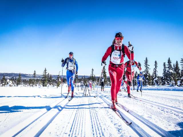 Birkebeinerrennet