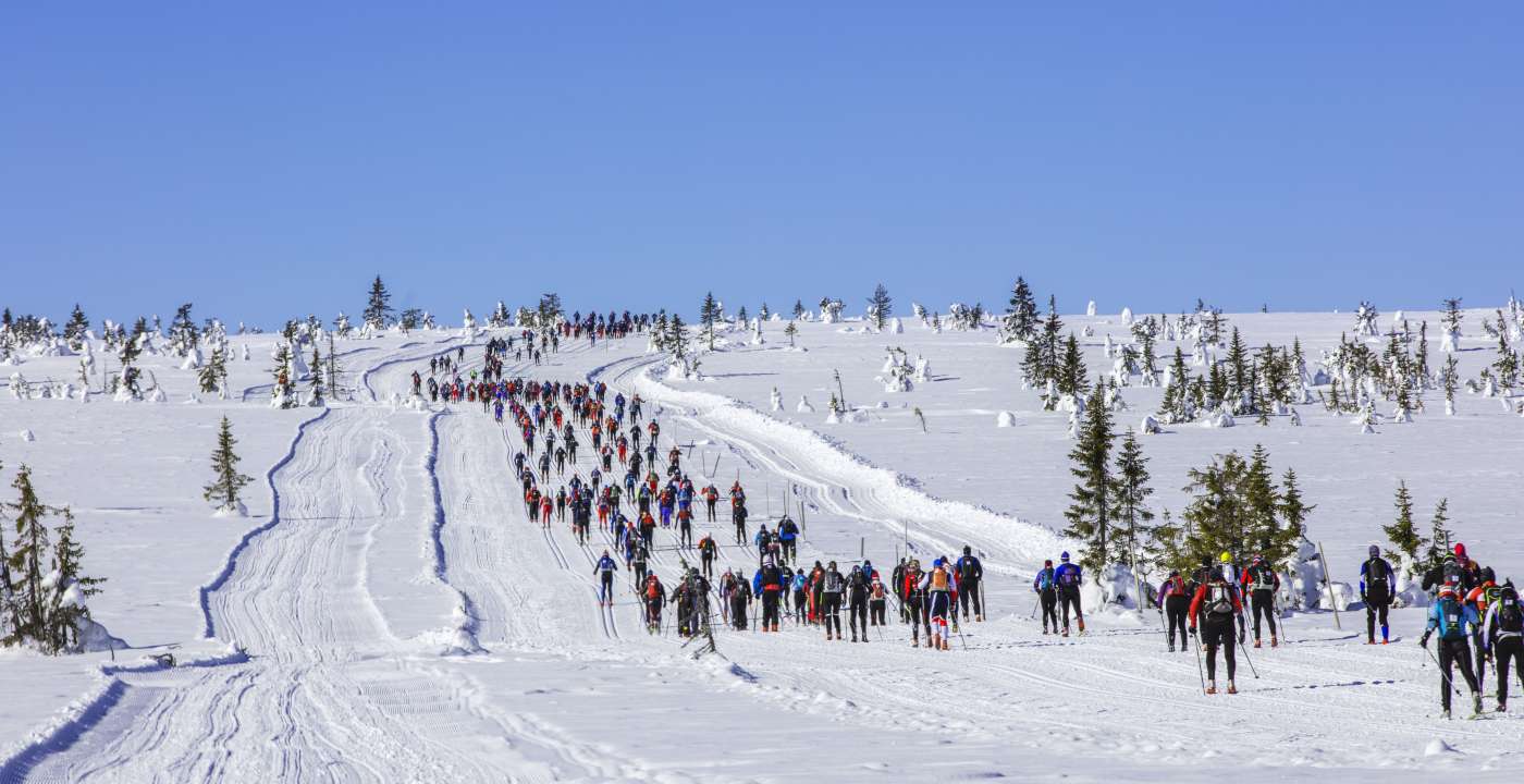 Birken 2018 DB 43 raudfjellet