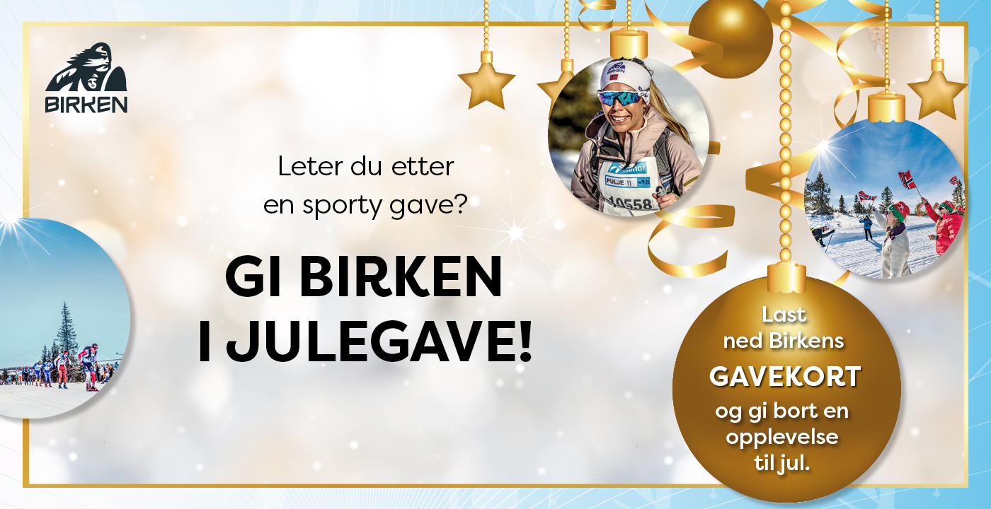 2022.11.17 Gi Birken i julegave 1400x7202