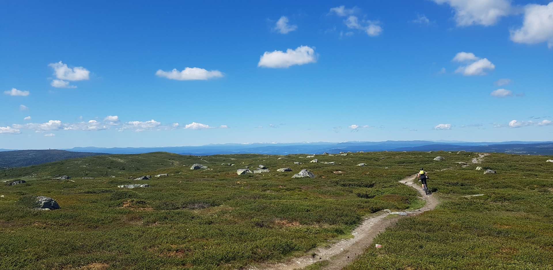 Vakkert på fjellet